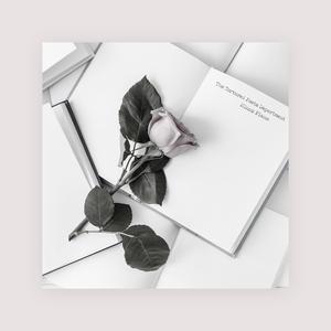 天天狠狠色噜噜
