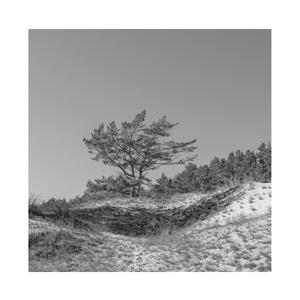 天天狠狠色噜噜
